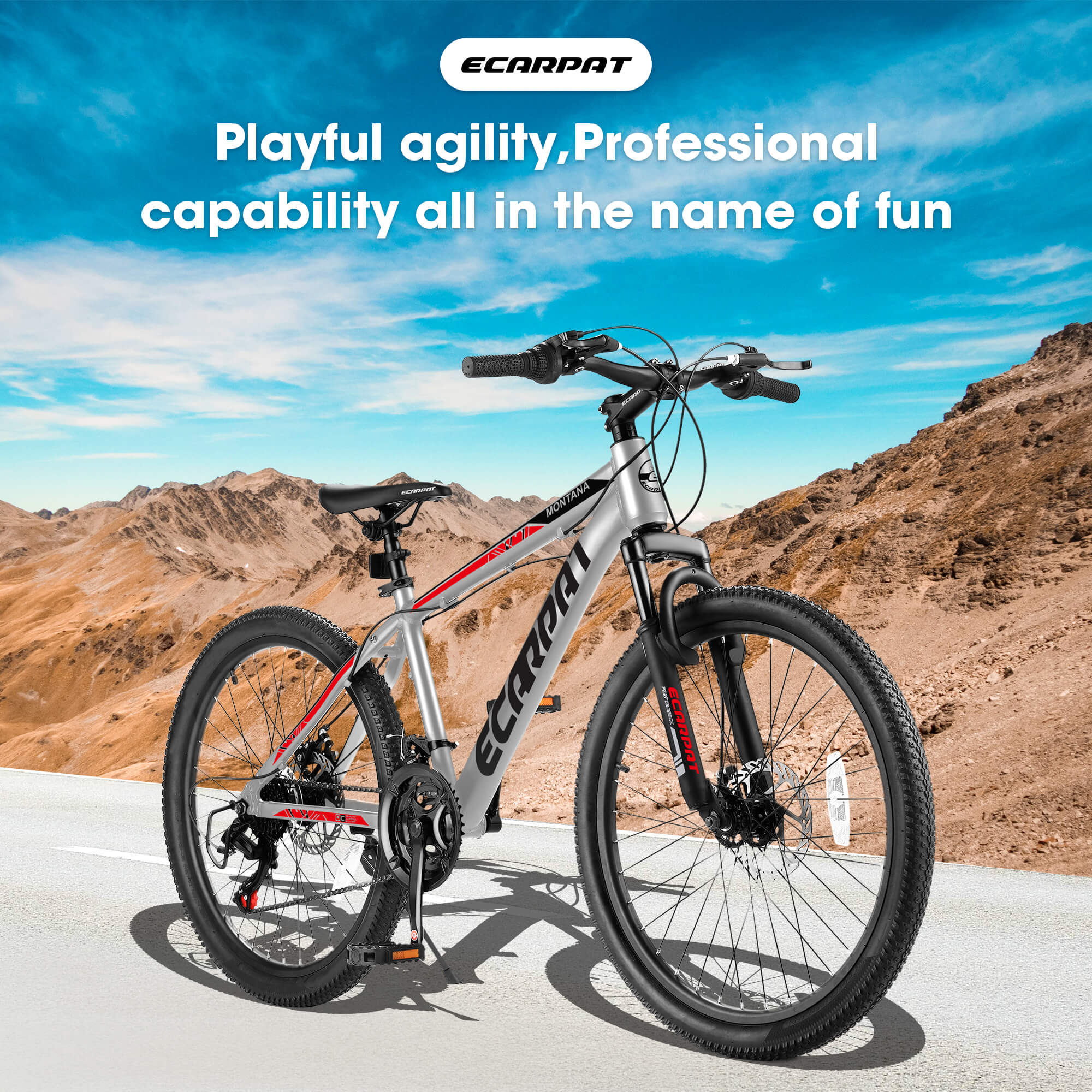 capic mountainbike Ecarpat Rycheer 26"x2.10" Mountain Bike Titanium / 26”×2.10“