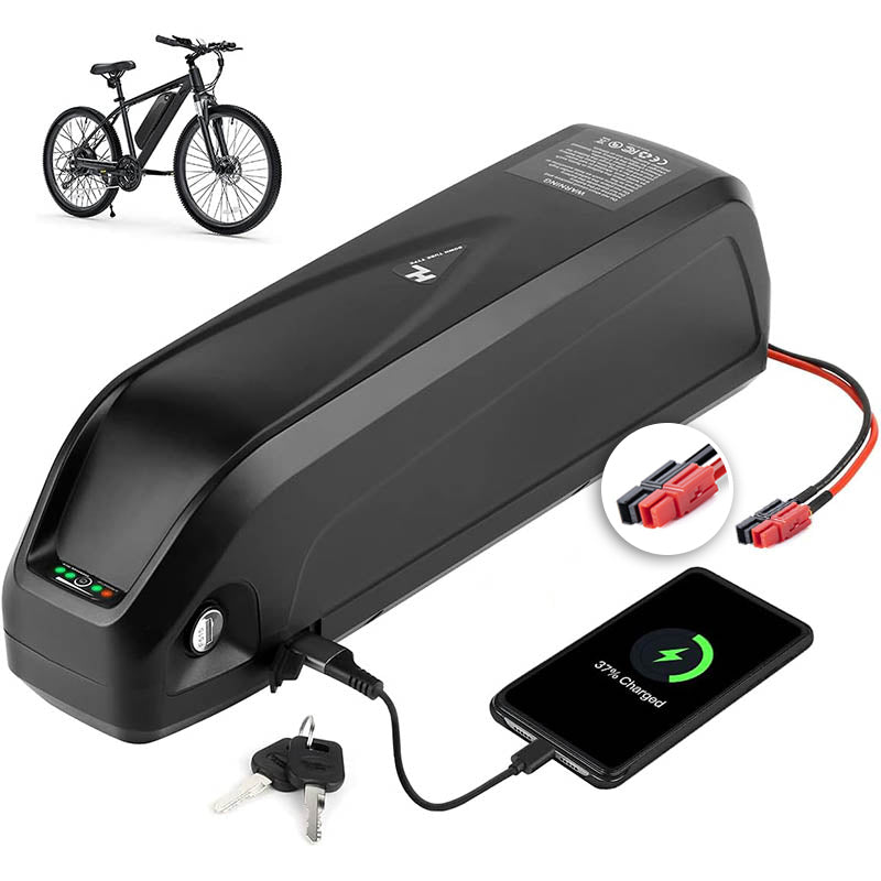 48V16AH 0-1000W Electric Bicycle Lithium Battery 48V16AH 0-1000W Electric Bicycle Lithium Battery