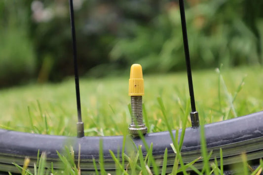 Bike Pump's Presta, Schrader, Dunlop Valve For What Tire Types?