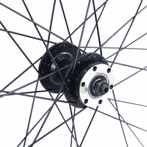 Zukka Pathen - 29“ Hybrid Bike Wheelset