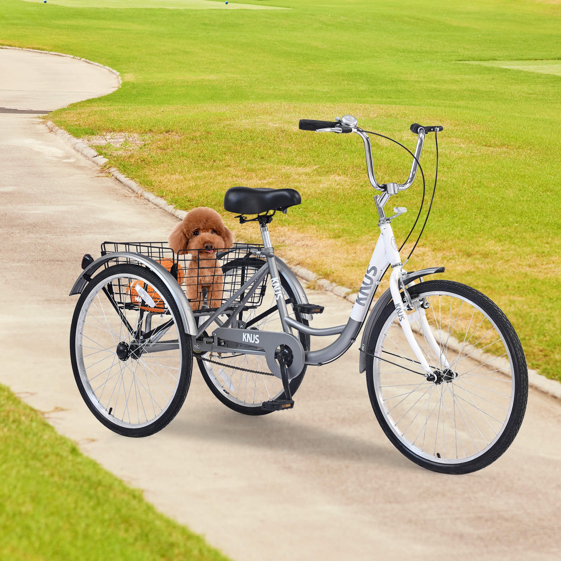 knus virbus 26“ single-speed tricycle for adults wirh big storage