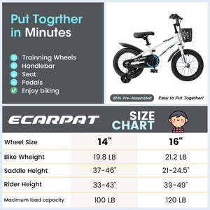 Ecarpat Runster 14
