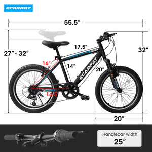 Cirle Wind - 20”