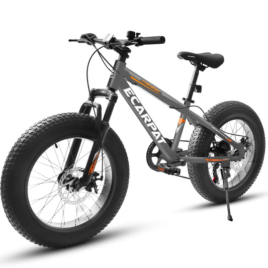 Hycline Ecarpat Arena 20"×4.0" carbon steel fat tire bike for all terrains