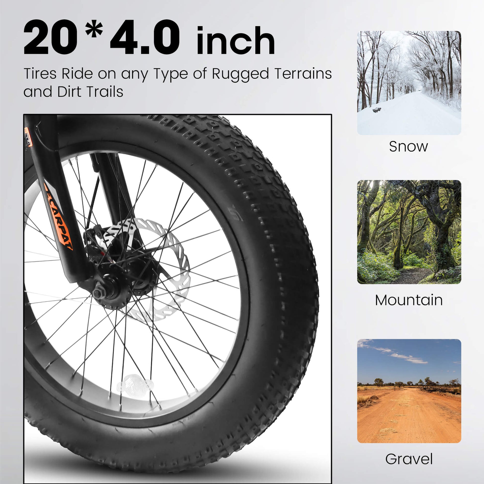 Hycline Ecarpat Arena 20"×4.0" carbon steel fat tire bike