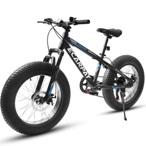 Hycline wide tire bike：Ecarpat Arena 20