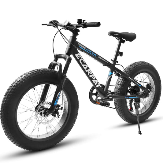 Hycline wide tire bike：Ecarpat Arena 20"×4.0" carbon steel fat tire bike for kids and youth