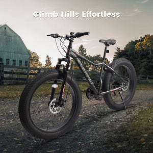 Hycline Ecarpat Wildecircle 26x4 carbon steel frame  21 speed mountain fat tire bike for endoro trails