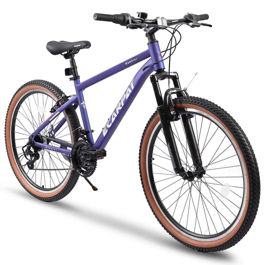 Hycline TumbleWeed 26x2.125 wheel  Beach Mountain Bike in Purple Color