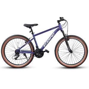 Hycline TumbleWeed 26x2.125 wheel  Beach Mountain Bike