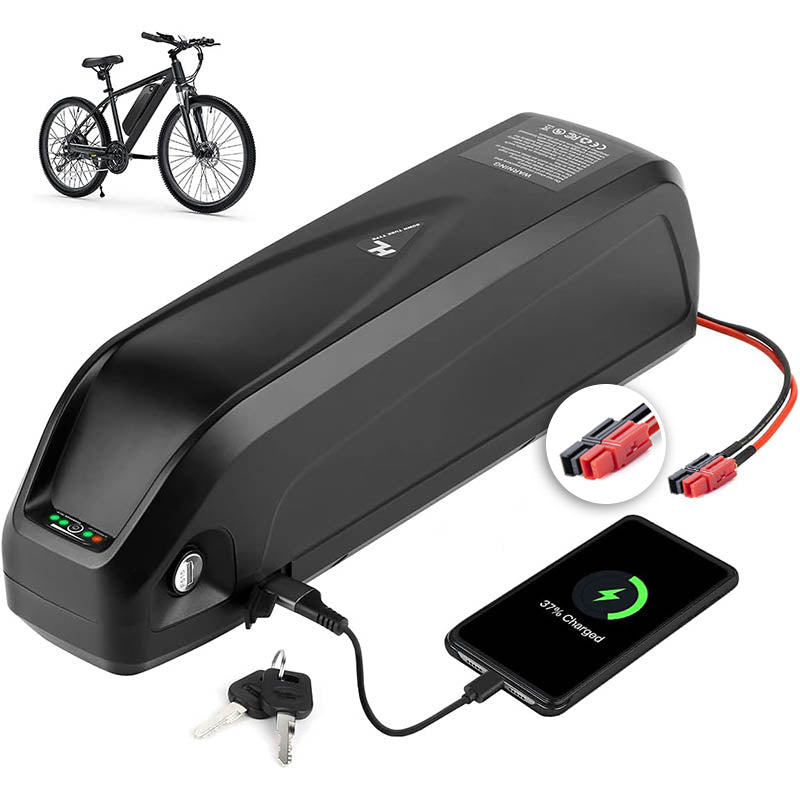 48V16AH 0-1000W Electric Bicycle Lithium Battery