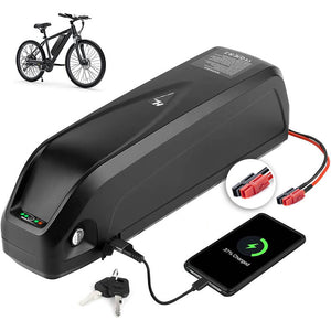 48V17AH 0-1000W Electric Bicycle Lithium Battery