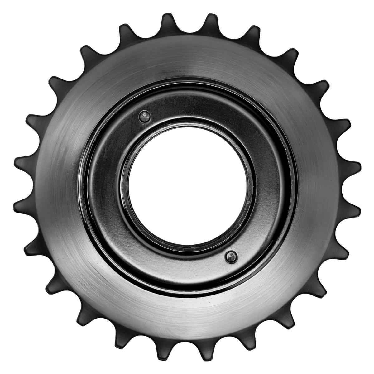 24T Single Speed Bike Freewheel
