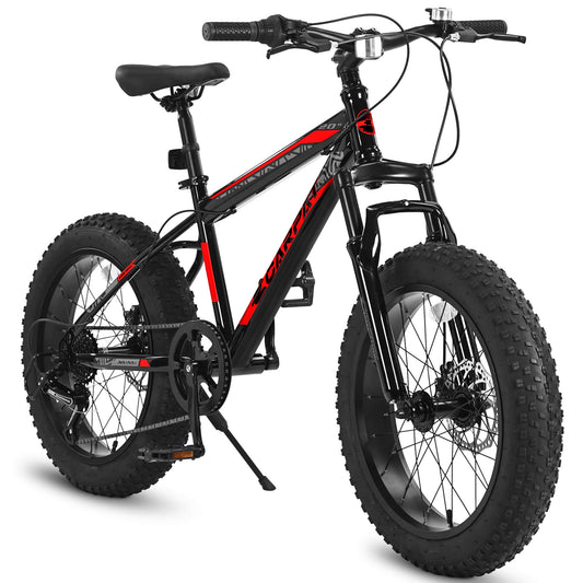 Ecarpat Joycycle 20"×4.0" Youth Fat Bike