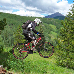 TumbleWeed - 27.5