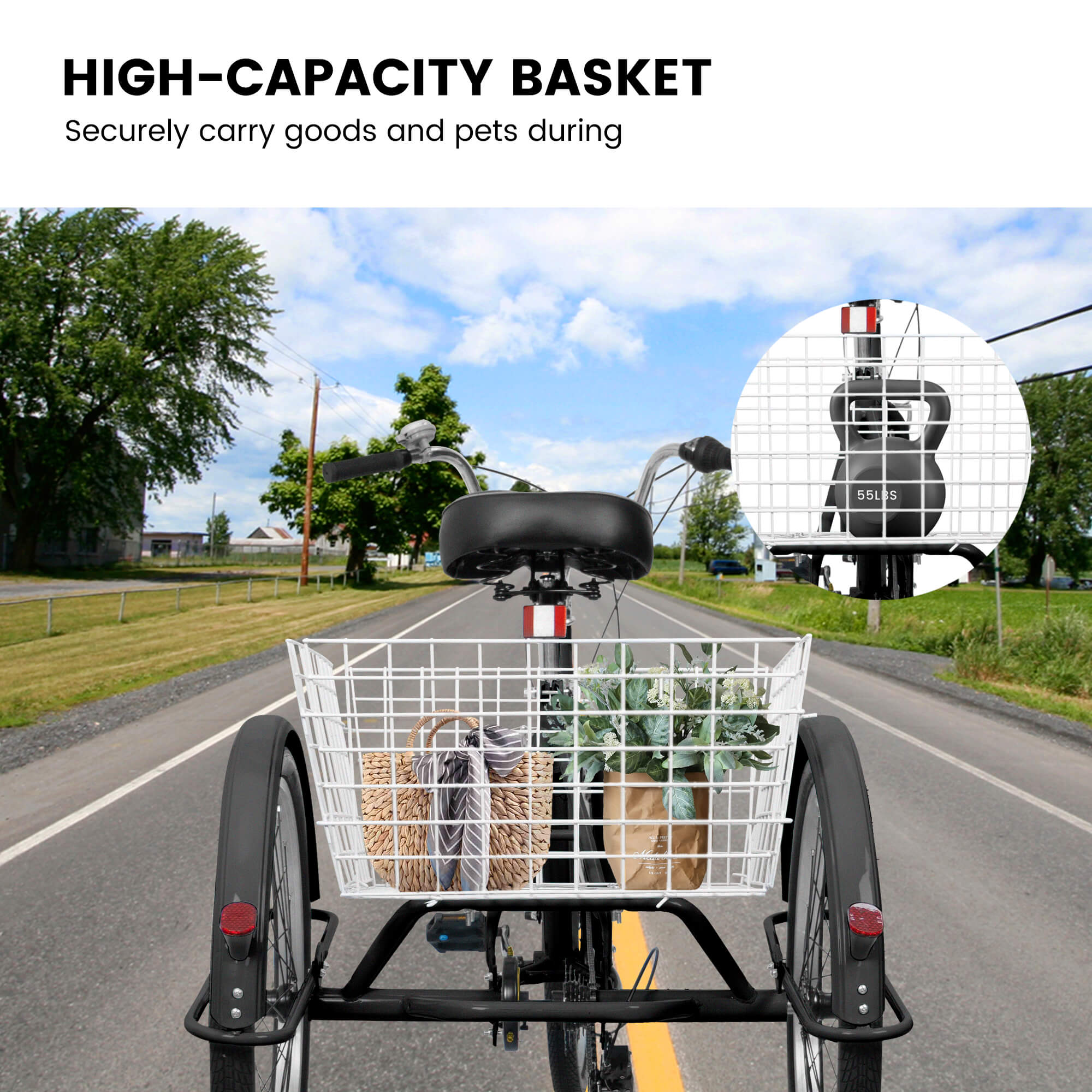 3 wheel bicycle cart Ecarpat 24“ 7-Speed Adult Tricycle