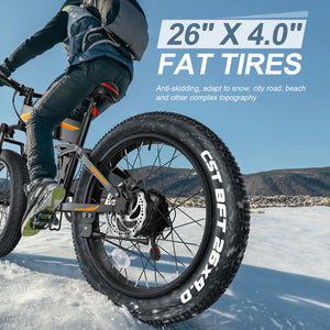 Anti-skid CST BFT C1752 Fat Tire - 20