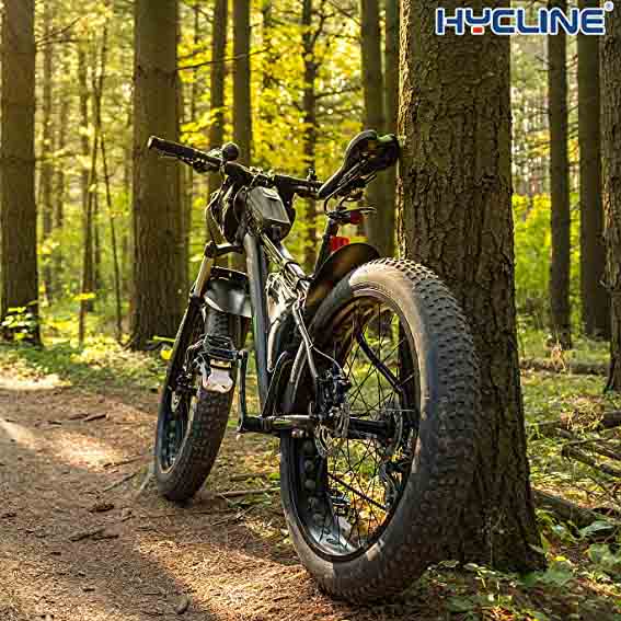 Best Hycline Kevlar 20x4 Fat Folding Bike Tires Picture Display
